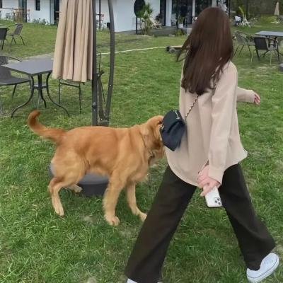 追寻爱情的异乡客
